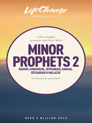 cover image of Minor Prophets 2